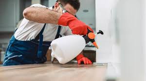 Best Pest Exclusion Services  in Salem, IN